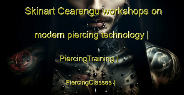 Skinart Cearangu workshops on modern piercing technology | PiercingTraining | PiercingClasses | SkinartTraining-Romania